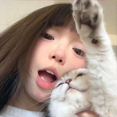 狐狸王子